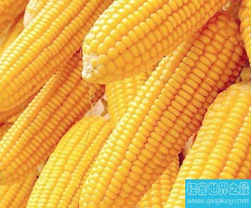 世界上生产玉米最多的国家，年产量可达到10.75亿吨