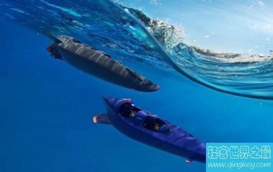 世界最快个人潜艇，Ortega(数秒潜入100米)
