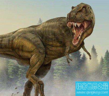 世界上最矮的食肉恐龙，身高只有4米