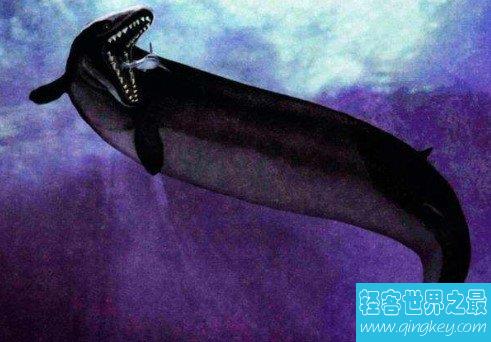 世界上最早的鲸鱼，古蜥鲸竟是从树上跑下来的