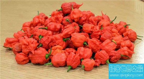 世界上最辣的十大辣椒，印度不丹毒椒竟然可以用来驱赶野兽