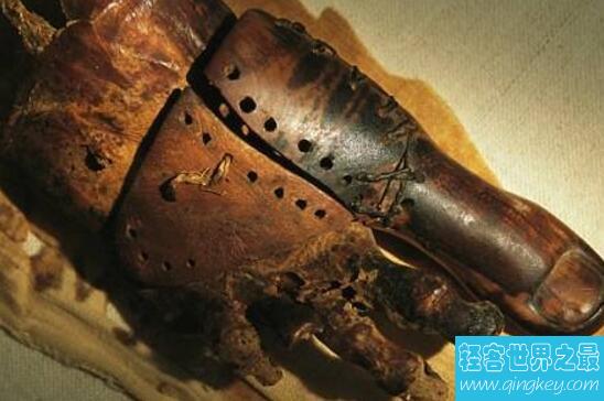 世界上最古老的假肢，古墓主人大脚趾(距今3000年)