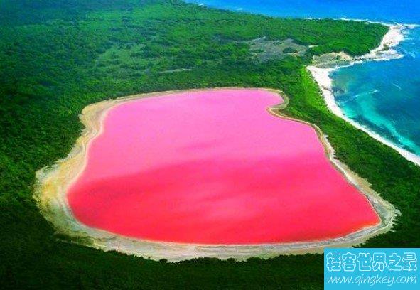 世界最浪漫粉色希勒湖，天然粉色湖面美的让人窒息