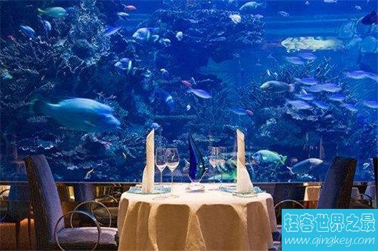 迪拜水下酒店,让我们和鱼共舞吧(一晚3.6万，唯一的一十星级酒店)