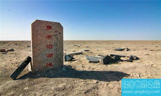 中国四大无人区，可可西里是藏羚羊生存的天堂