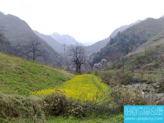 秦岭之旅，带你走进秦岭七十二峪