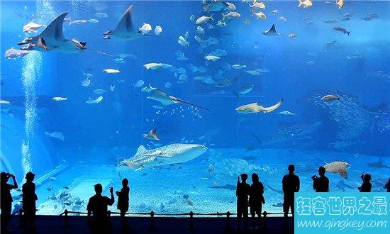 世界十大水族馆排名，盘点世界上那些著名的水族馆