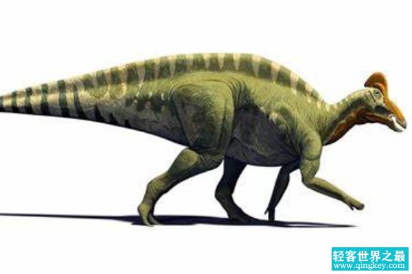 世界上最大的史前动物Top10 来自侏罗纪已完全灭绝