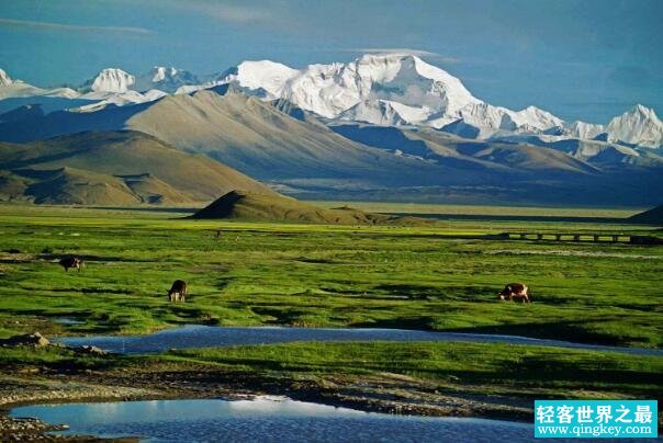世界上最高的高原:青藏高原，海拔最高5千米(世界屋脊)