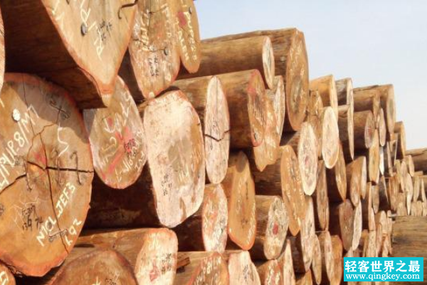 世界最硬的木头:比钢铁还要硬上一倍(密度极高)