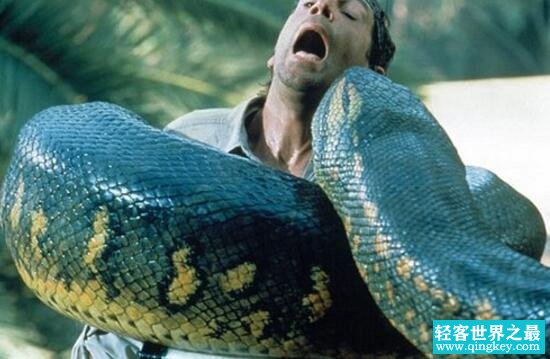 人类发现世界上最大的蛇，四川50米长巨蟒吓死人(附图)