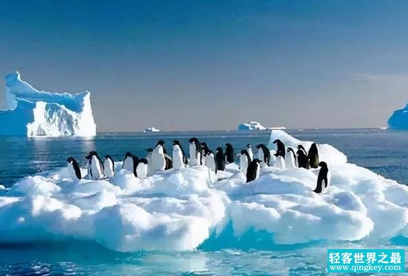 世界上最冷的地方 最低气温零下94.5℃(南极洲)