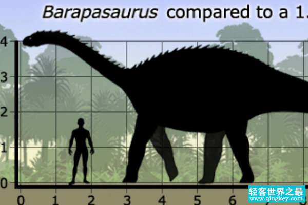 巴拉帕龙:最晚发现的蜥脚类恐龙(长18米/拥有巨脚)
