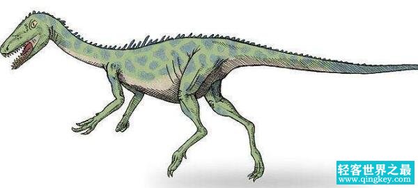 西北阿根廷龙：长1.8米的小型食肉恐龙（6500万年前）