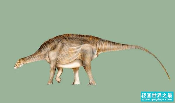 内乌肯龙：阿根廷大型食草恐龙（长15米/8300万年前）
