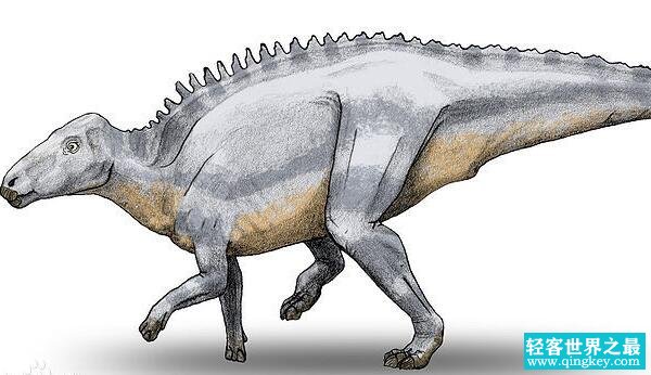 沼泽龙：欧洲中型食草恐龙（长5米/距今6500万年前）