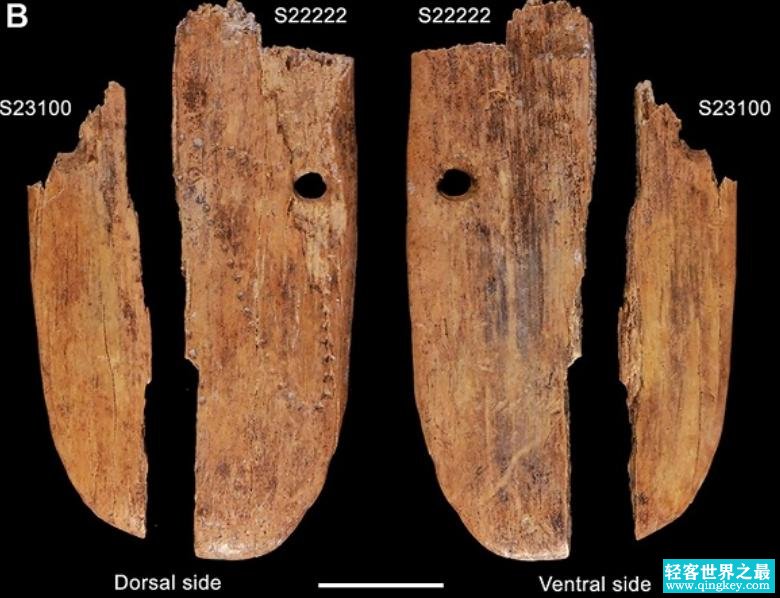 欧亚大陆发现最早的珠宝，4万年前就长这样（远古吊坠）