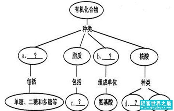 有机无机之间有区别吗？有机无机具体区别在哪里