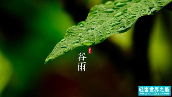 清明的下一个节气是什么?春季的最后一个时节(谷雨)