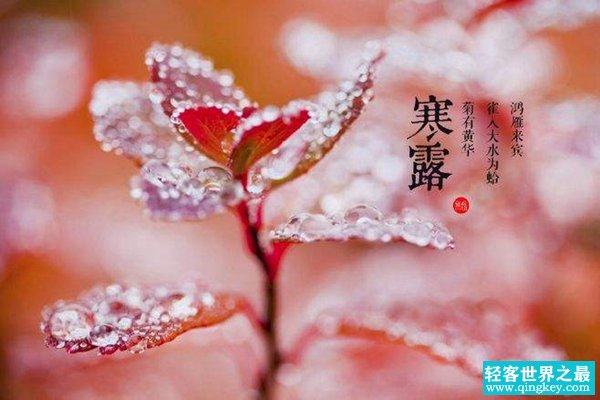 秋分的下一个节气是什么?怎么样才能更好养生（寒露）