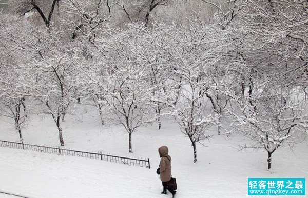 小雪的下一个节气是什么?大雪节气有哪些注意事项