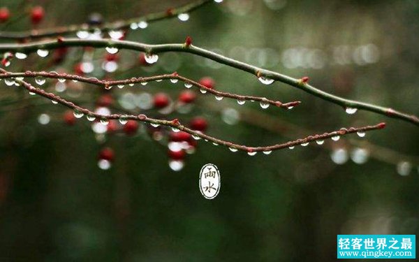 雨水什么意思?雨水节气有哪些寓意（春天的到来）