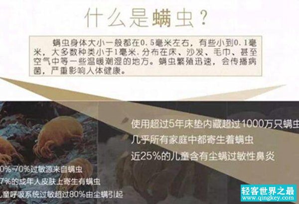 捕螨贴是真有效果吗 杀死螨虫功效很弱属于智商税产品