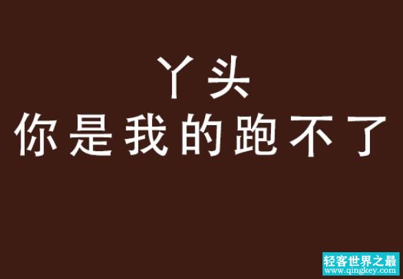 丫头文学是什么梗 丫头文学是什么意思呢