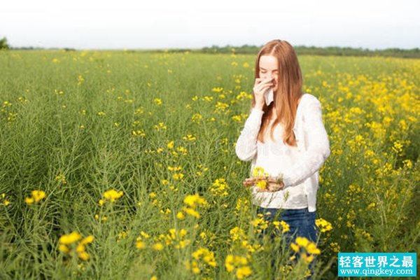 为什么人对花粉过敏?极少数花粉引起(春季发病率极高)