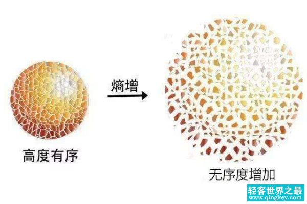 熵增定律太可怕了!地球万物仅一个定律就能概括