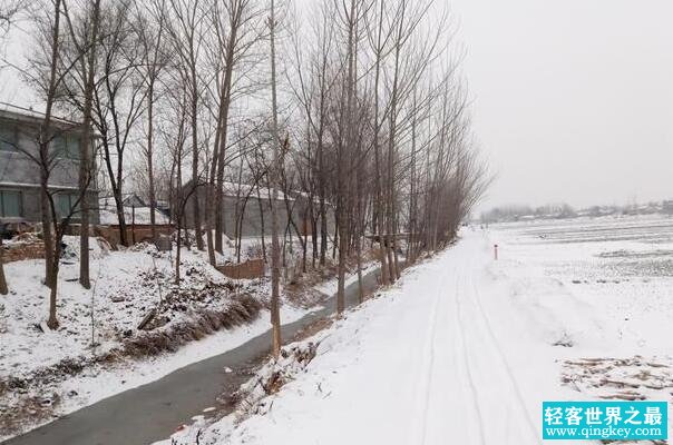 为什么下雪不冷化雪冷：下雪释放热量(化雪吸收热量)