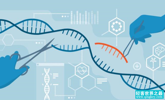 进化论可能并不是特别科学 科学家发现了最新的基因线索