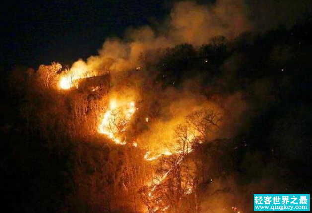 三年前的亚马逊雨林大火 会不会改变整个地球的生态？