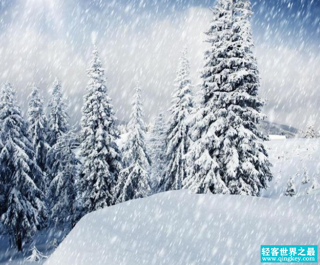 青海省6月份就下雪 这说明了什么？（气候反常）