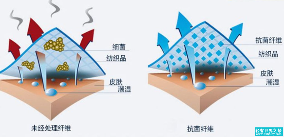 抗菌面料是智商税还是黑科技？