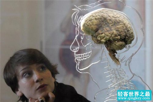 自由意识到底存不存在 科学家称自由意志只是人类的幻觉