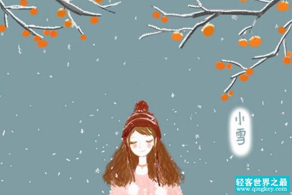 小雪节气的含义是什么，雨雪纷飞（每年的11月22-23日）