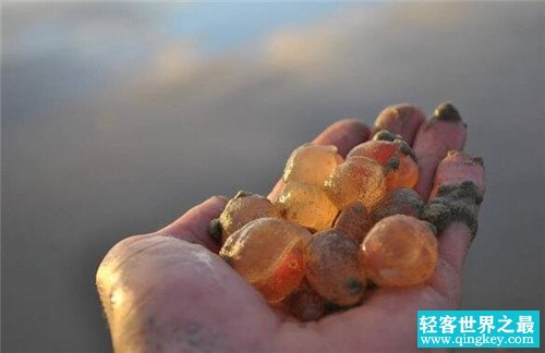 海边出现大量粉红怪蛋 或为海洋生物的卵（神秘海洋生物）