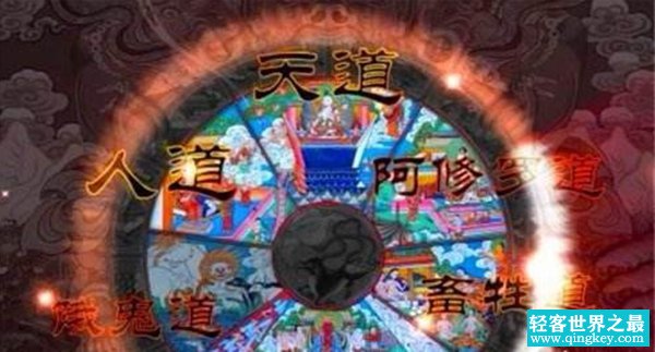 六道轮回真实案例,夜载五人竟是去投猪胎的（杜撰故事）