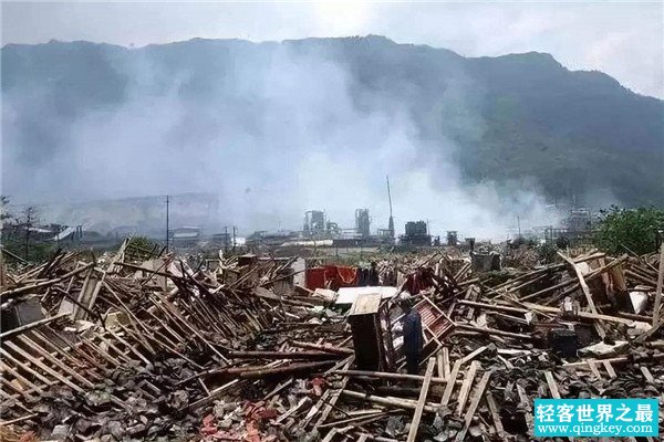 地震是什么动物最先知道 地震之前动物的反应