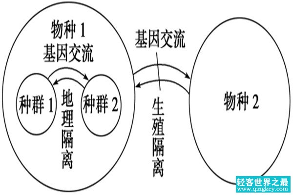 进化论十大漏洞有哪些 进化论这些漏洞可以解释吗