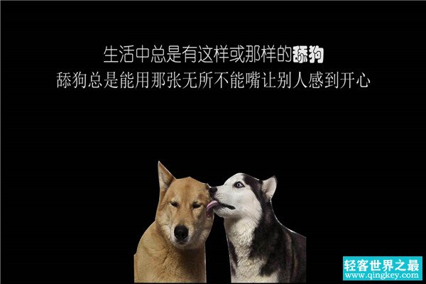 舔狗是什么意思 舔狗是一种网络用语词（讽刺意义）