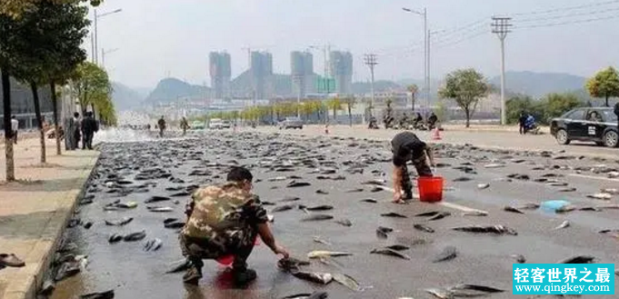 天上真的掉了馅饼 上千吨海鲜从天而降（极端天气）