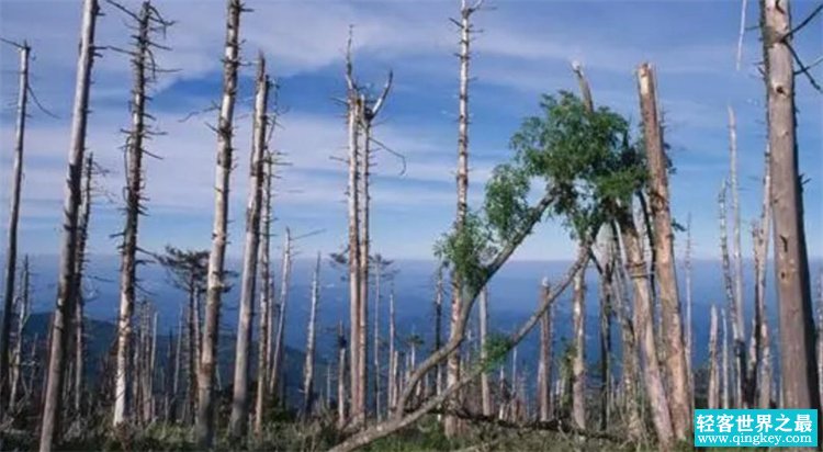 2亿年前，地球下了一场持续500万年的雨，导致一半生物灭绝