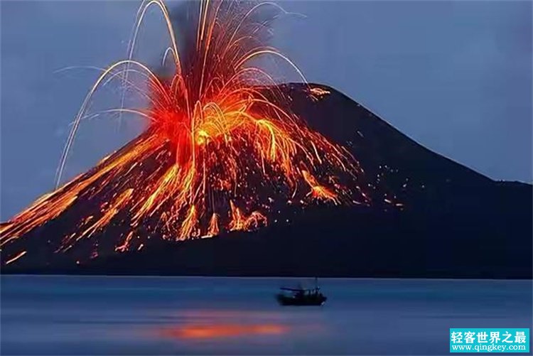 如果汤加火山爆发的话，有哪些海底生物能够逃过一劫呢