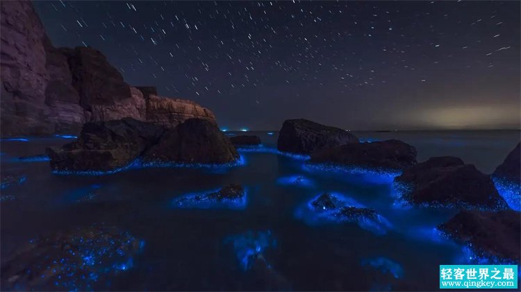 我国的多个地区出现了发光的海域 美丽背后其实潜藏了很多的危险